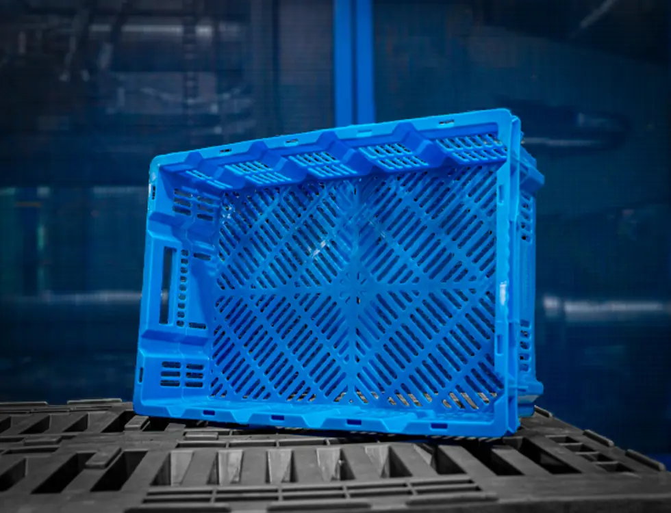 Acodeq Kipkrat Blauw